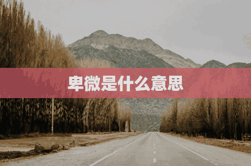 卑微是什么意思(卑微是什么意思解释)